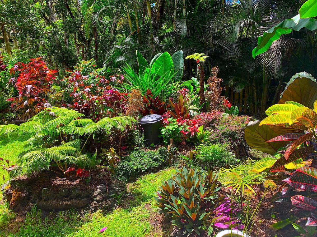 Phoenix Garden Pahoa Exterior photo